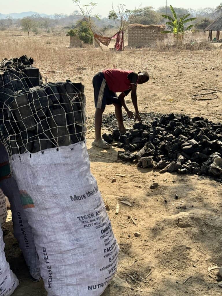 „Wenn Bäume brennen, damit Kinder überleben“